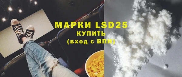 хмурый Абаза