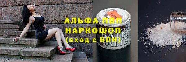 винт Алзамай